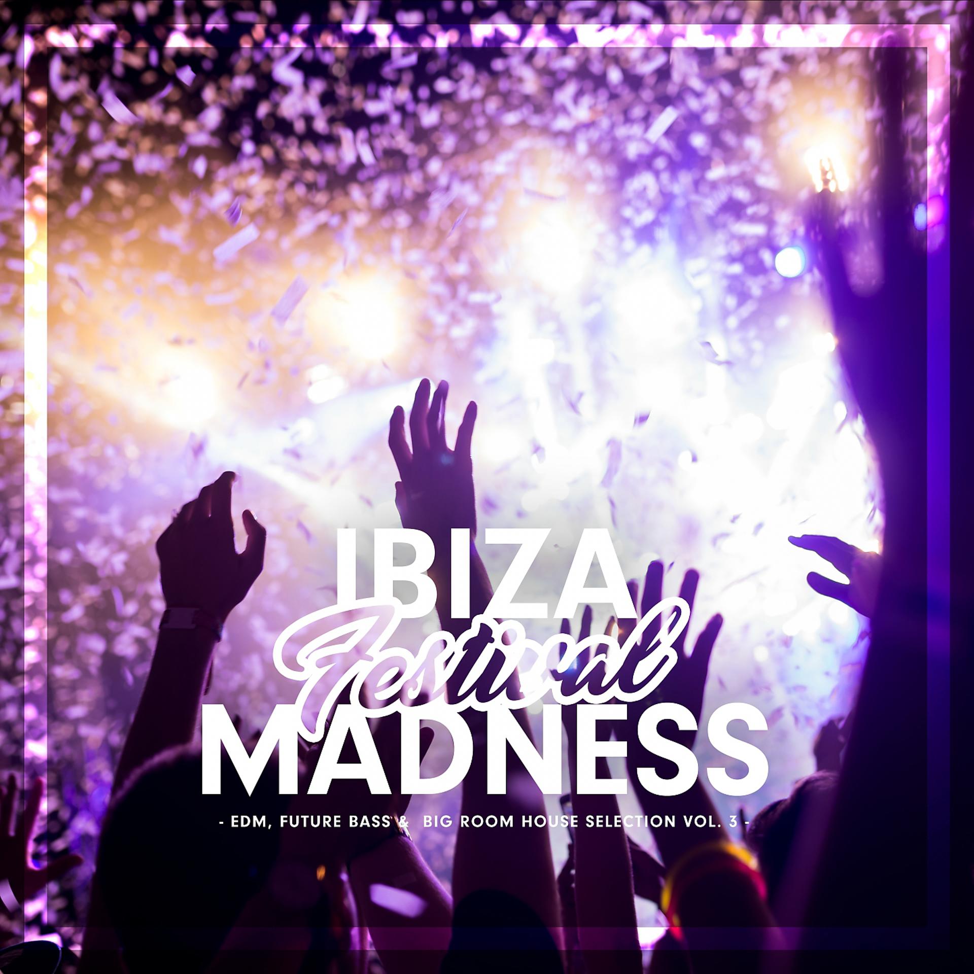 Постер альбома Ibiza Festival Madness, Vol. 3