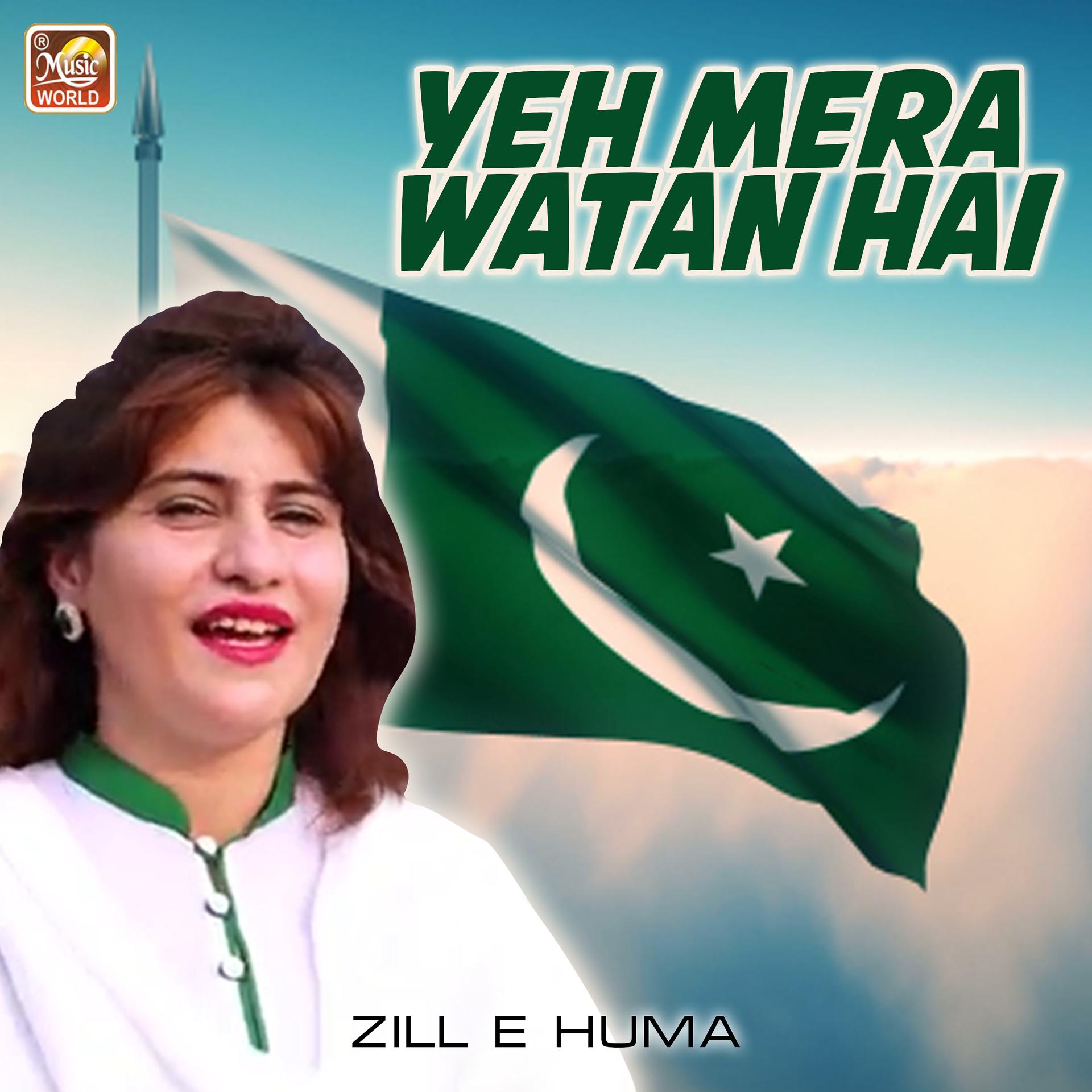 Постер альбома Yeh Mera Watan Hai - Single