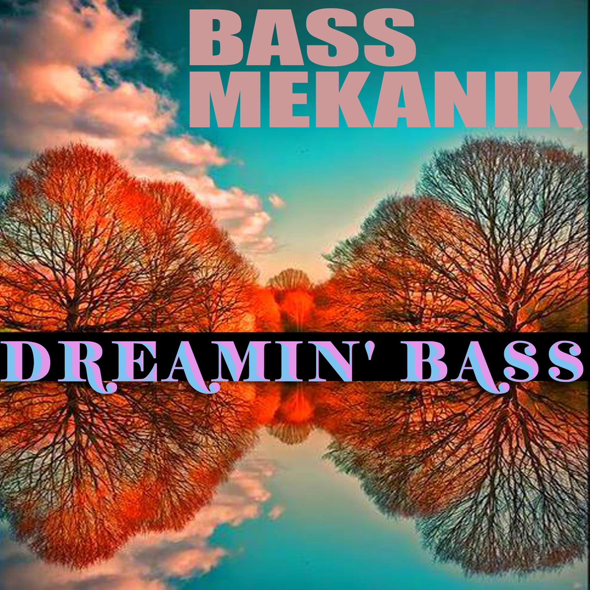 Постер альбома Dreamin' Bass