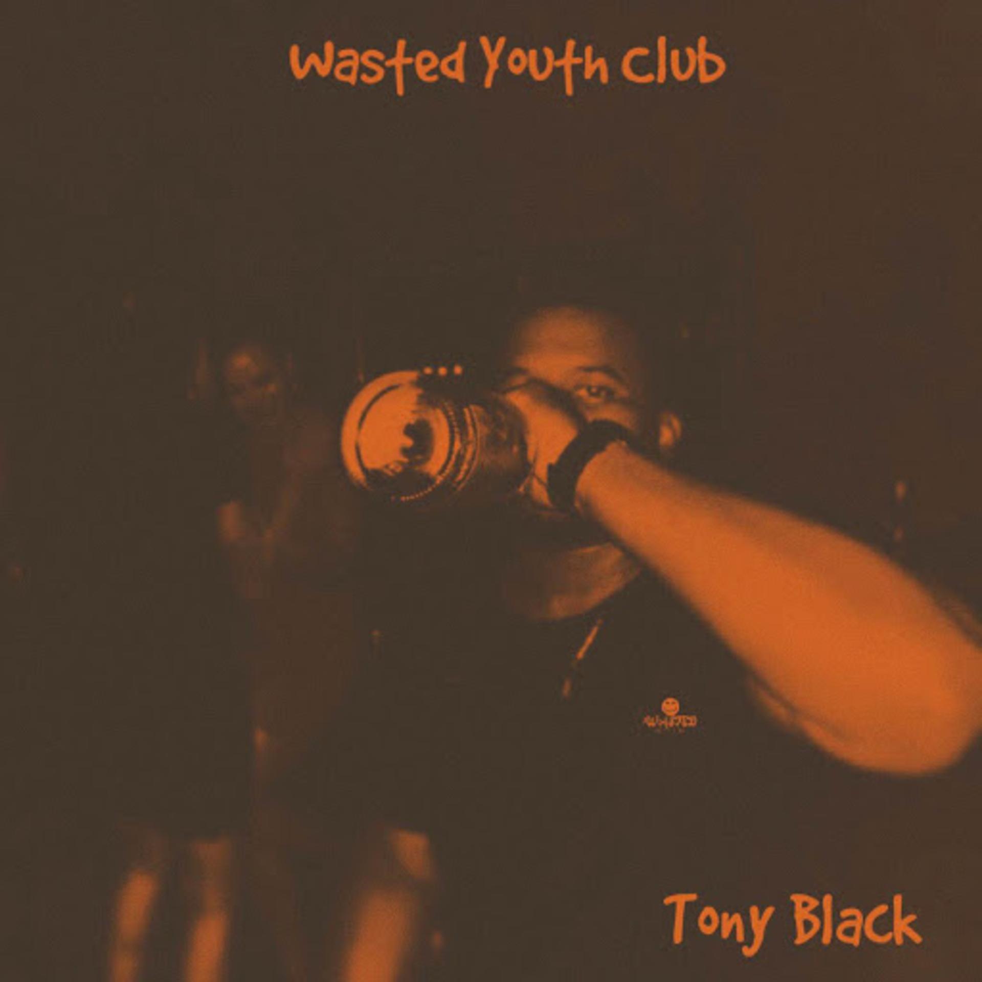 Постер альбома Wasted Youth Club