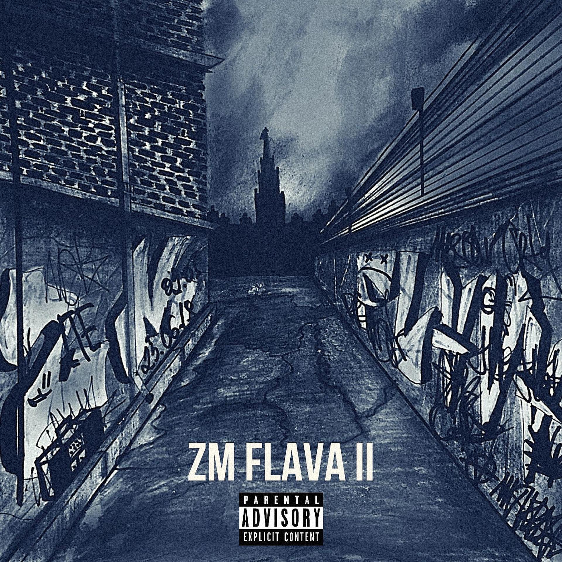 Постер альбома ZM FLAVA II