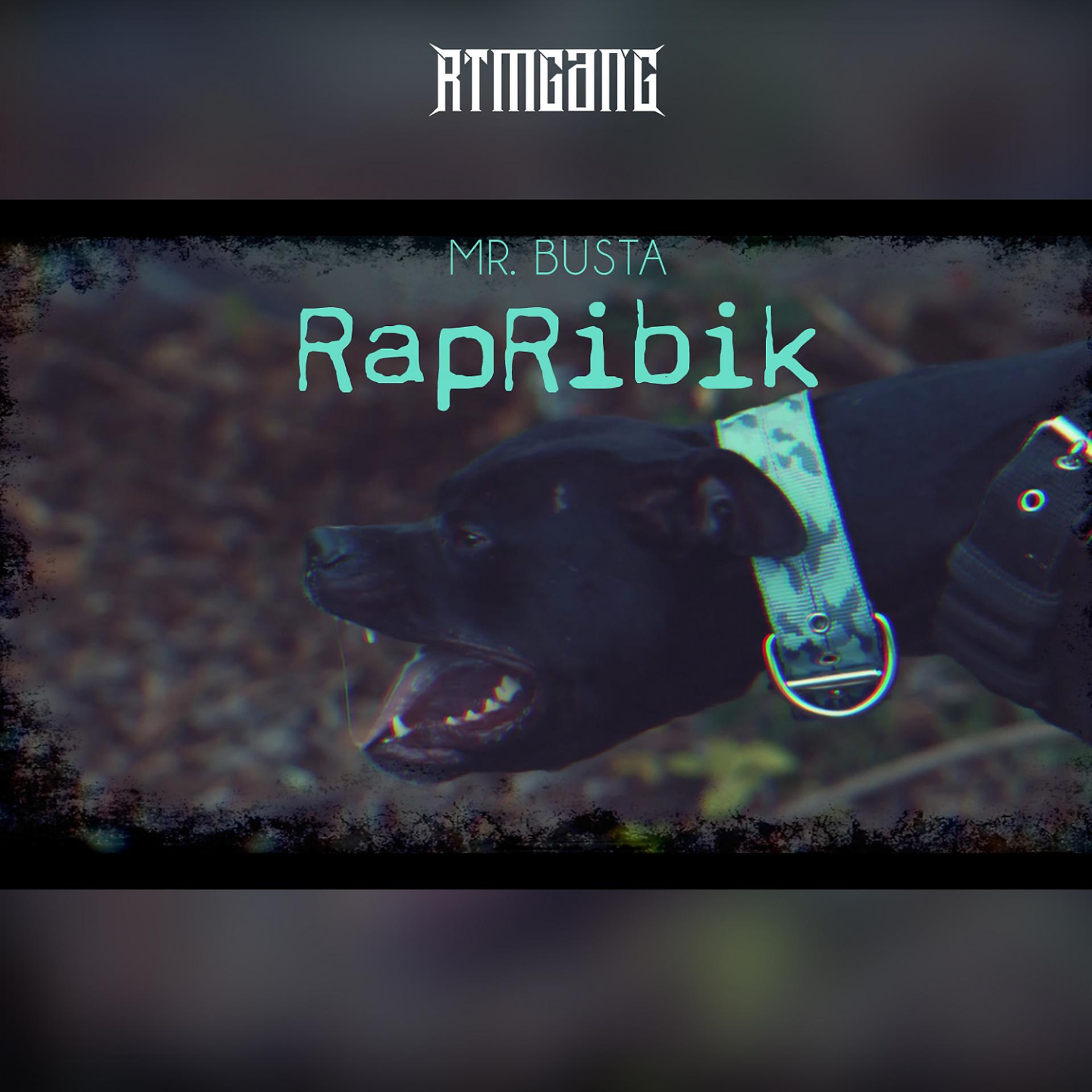 Постер альбома Rapribik