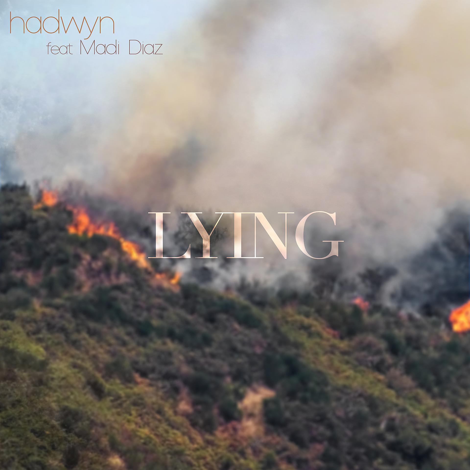 Постер альбома Lying