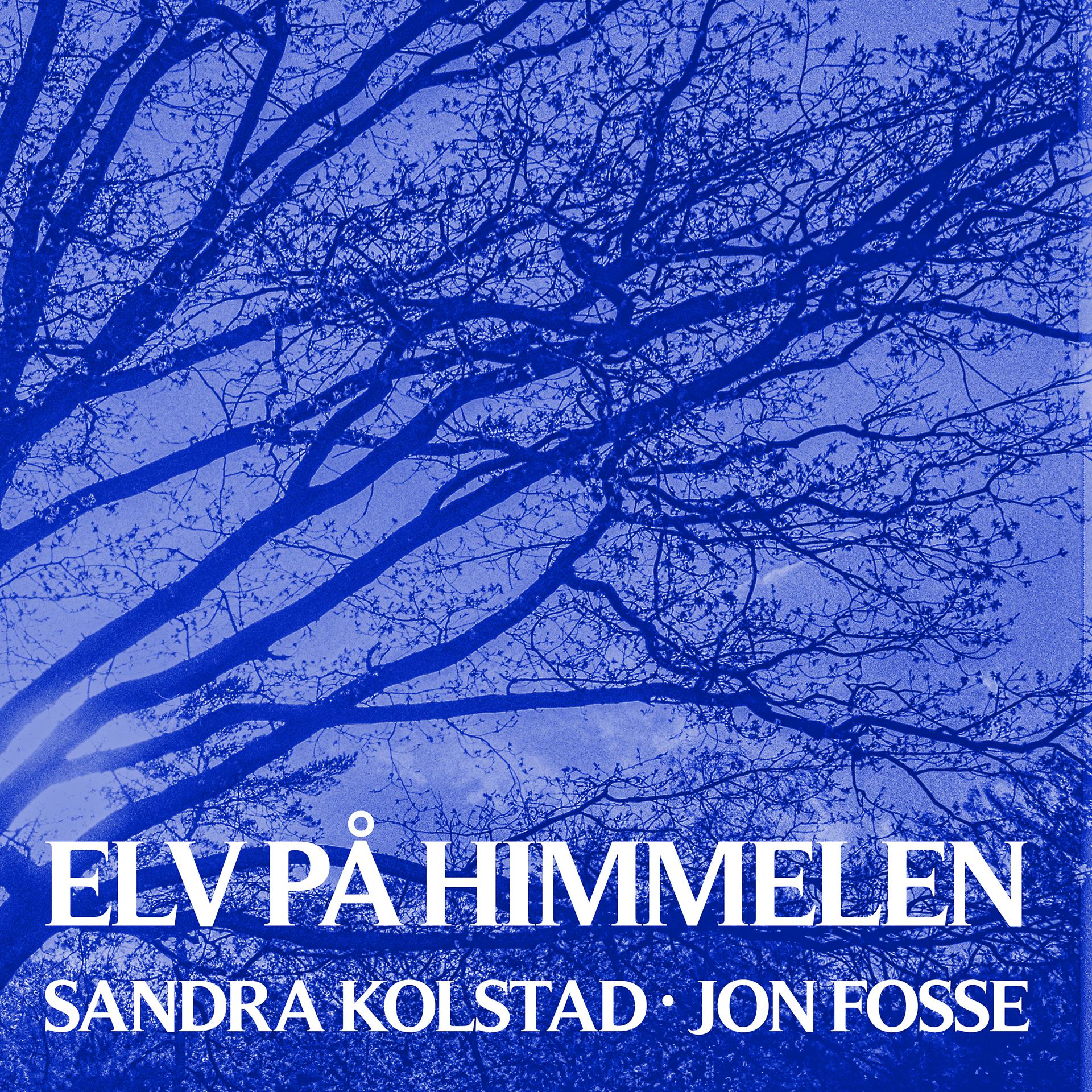 Постер альбома Elv på himmelen