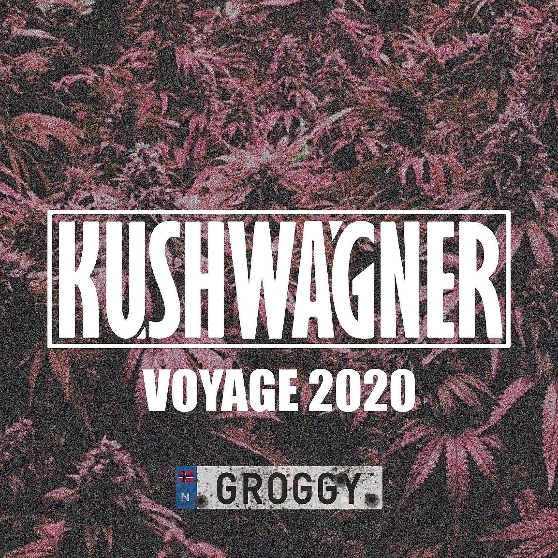 Постер альбома Voyage 2020