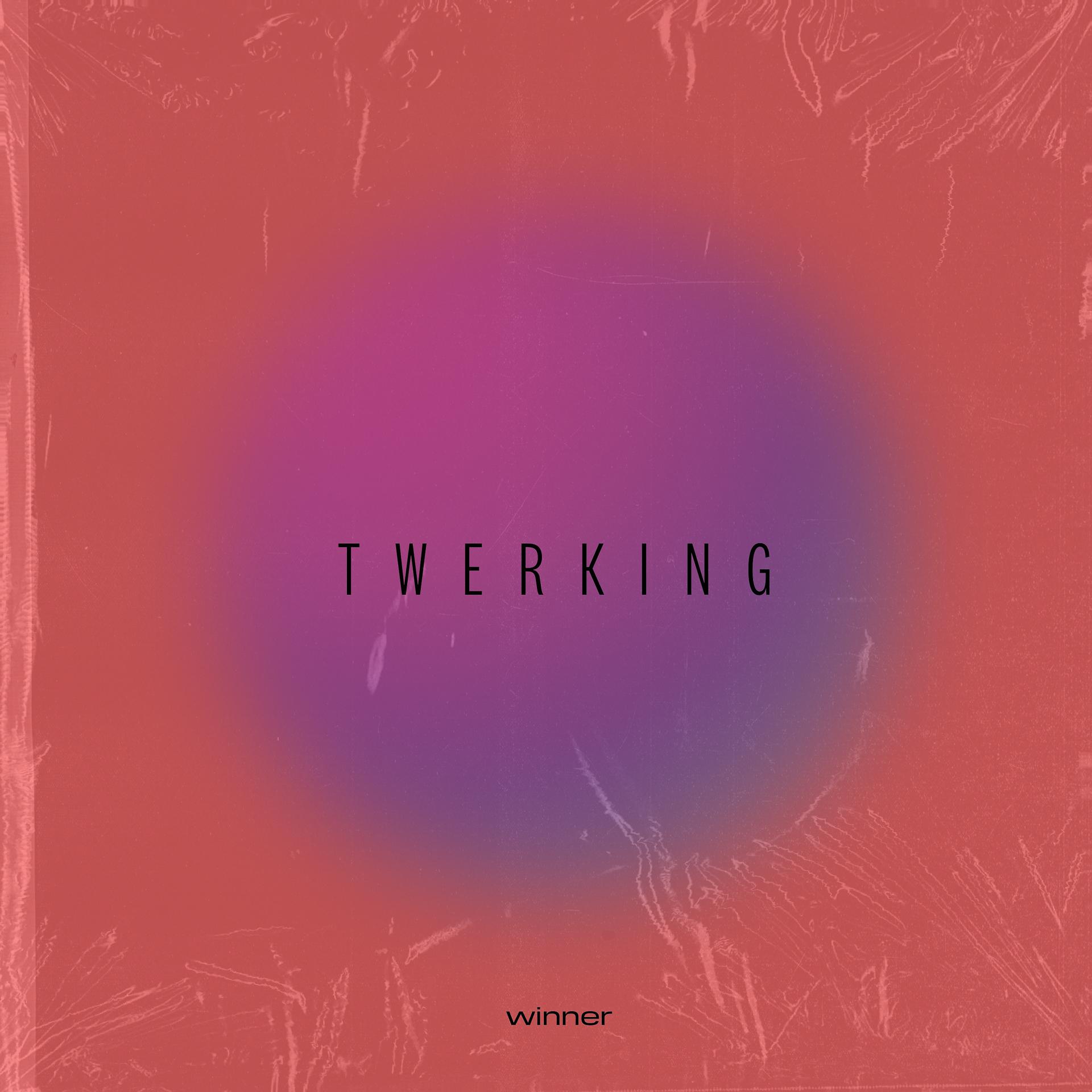 Постер альбома Twerking