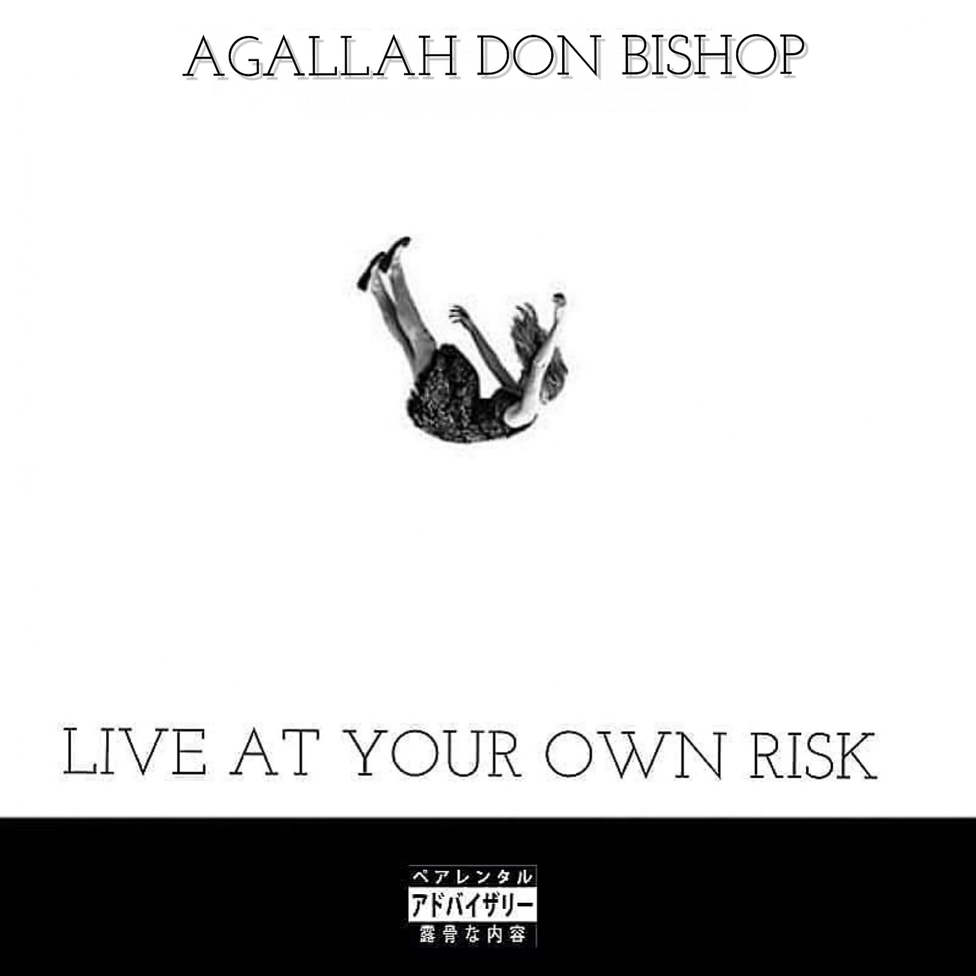 Постер альбома Live At Your Own Risk