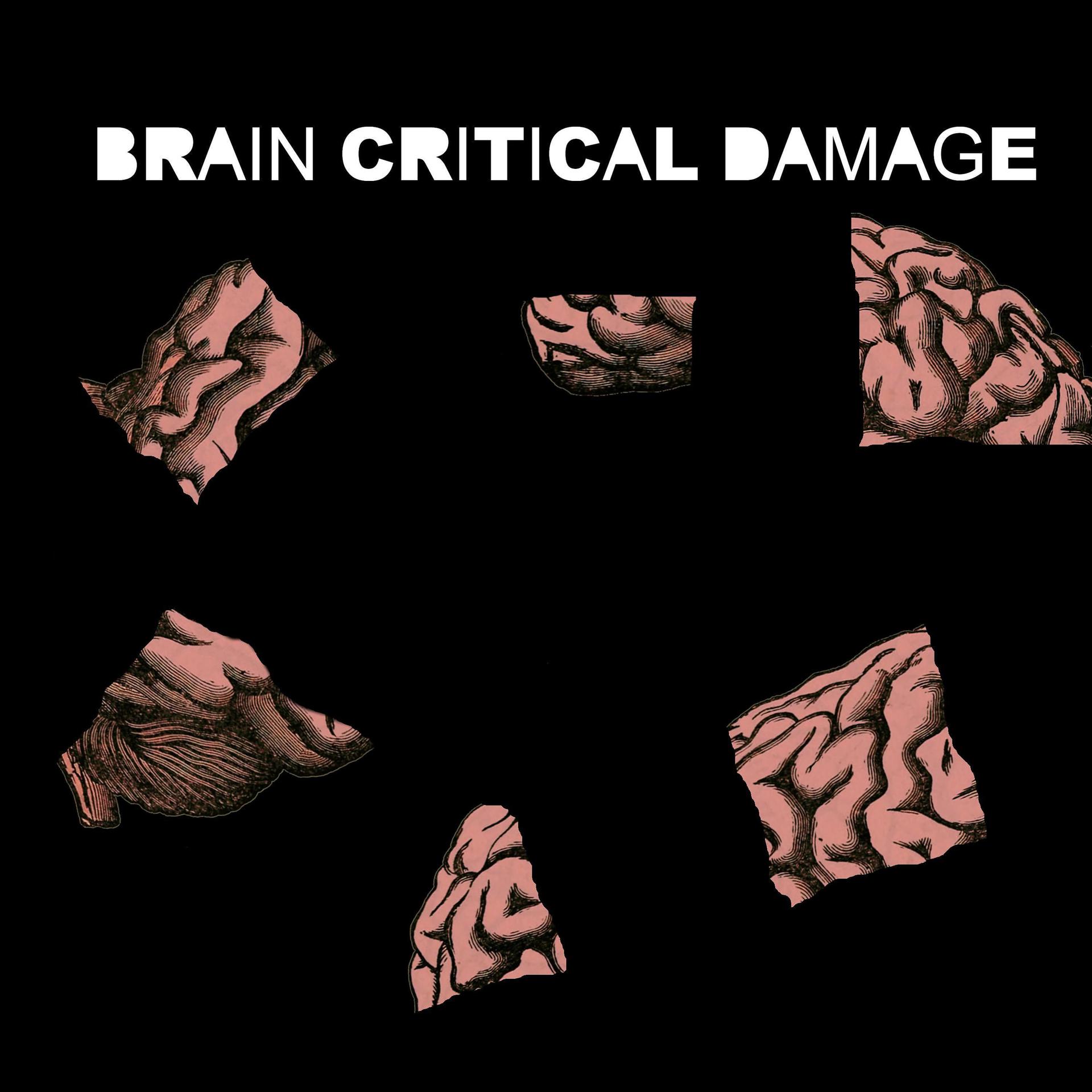 Постер альбома Brain Critical Damage
