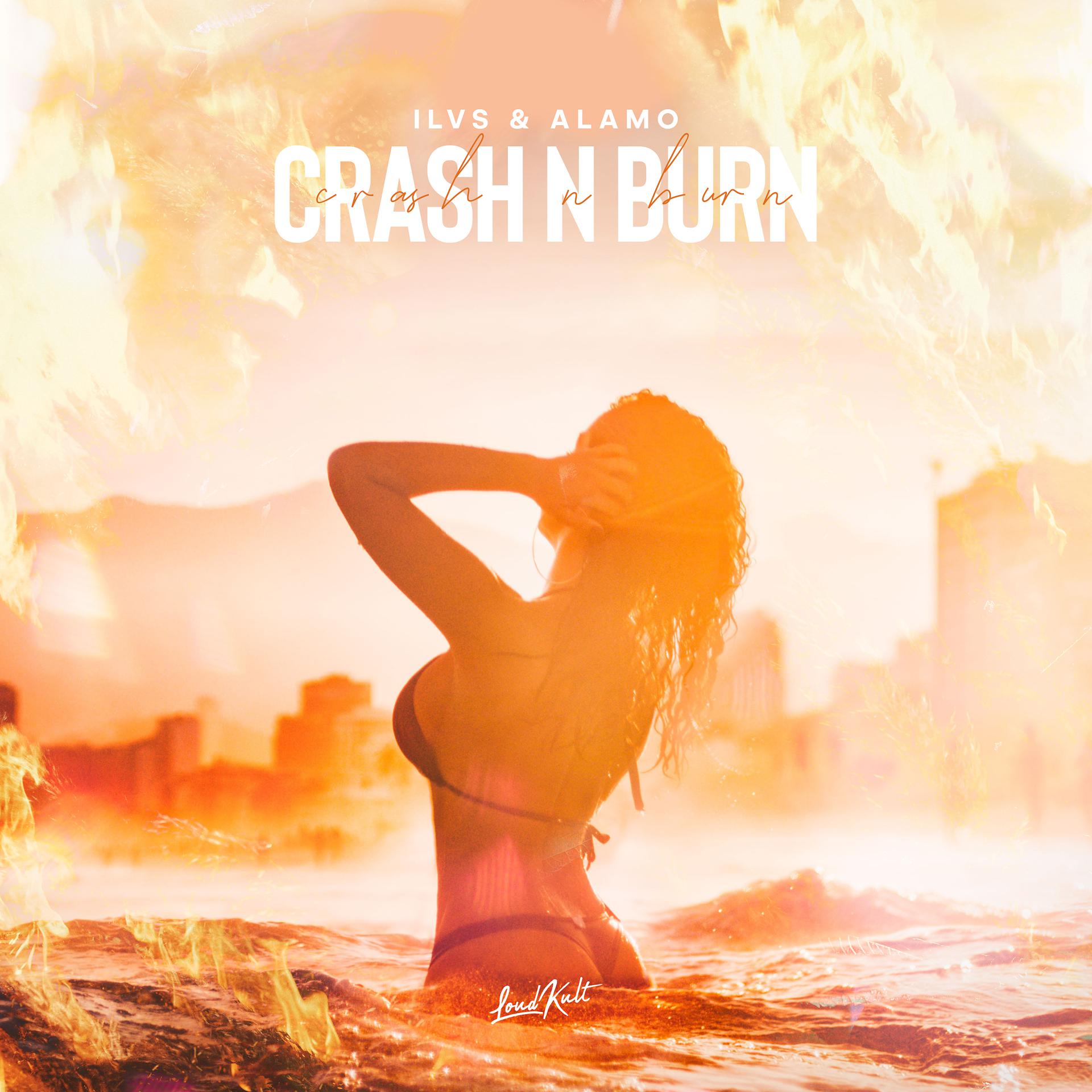 Постер альбома Crash n Burn