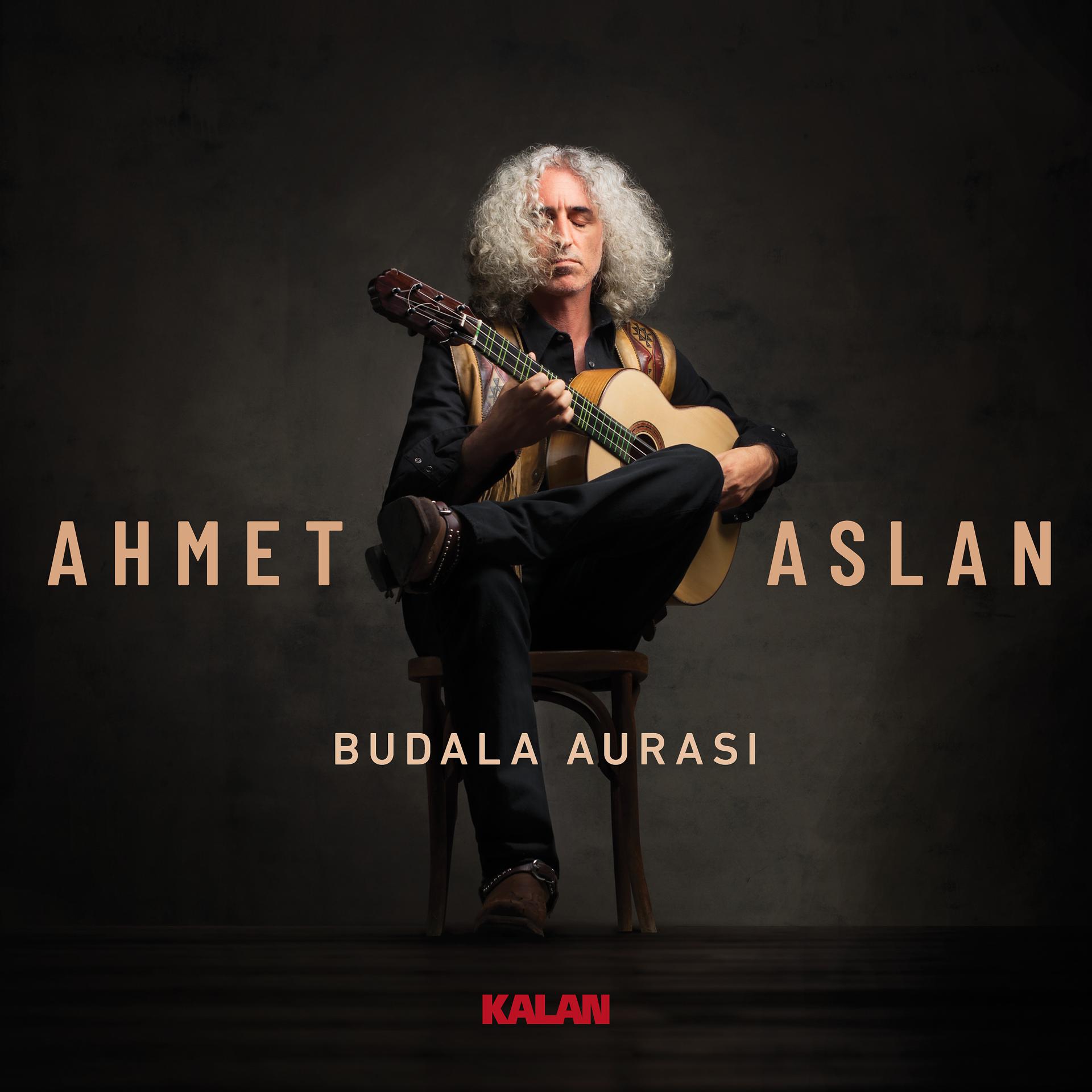 Постер альбома Budala Aurası