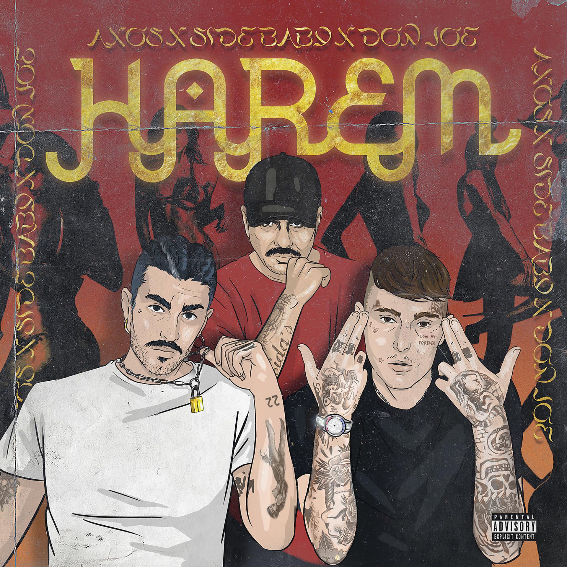 Постер альбома Harem