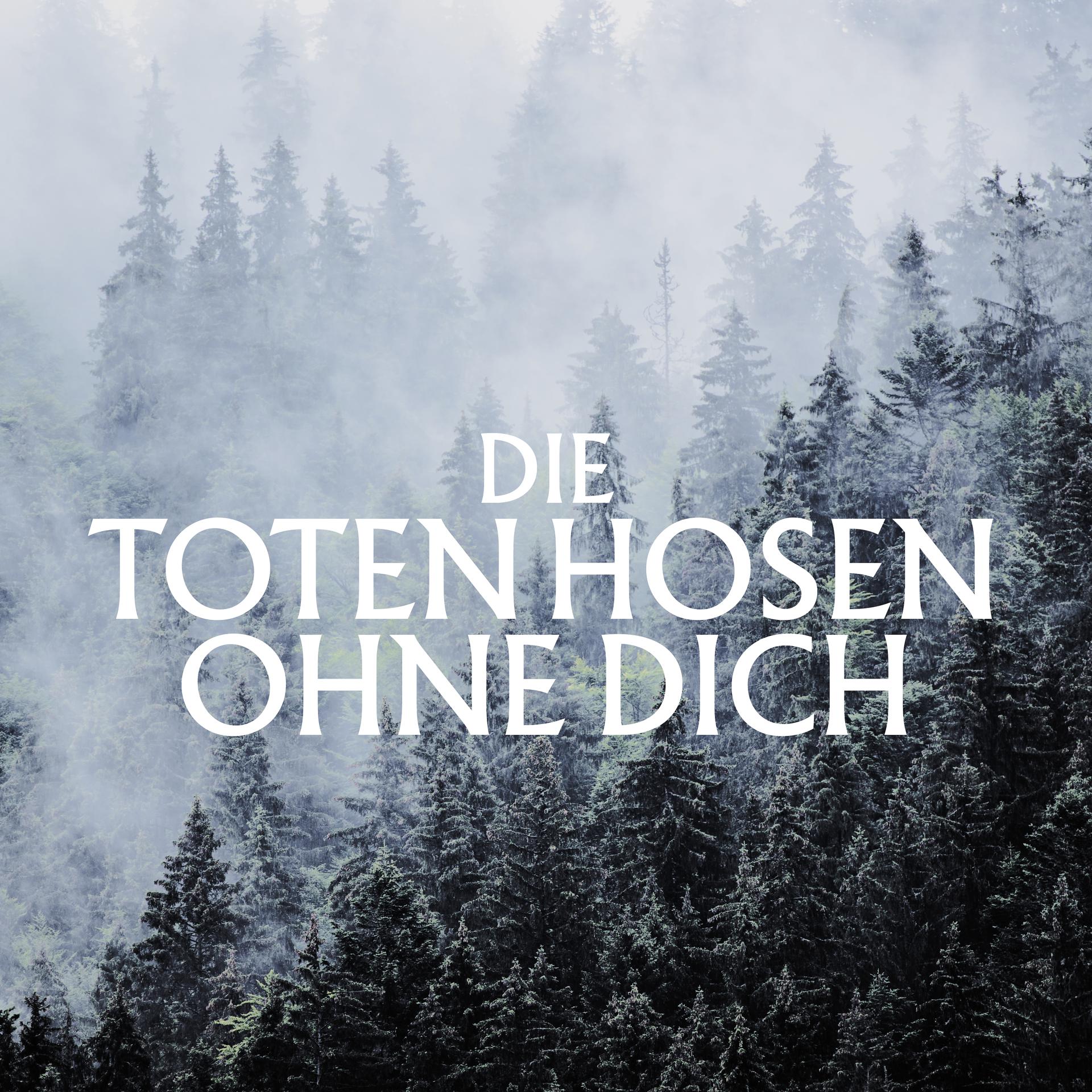 Постер альбома Ohne Dich (Ohne Strom)