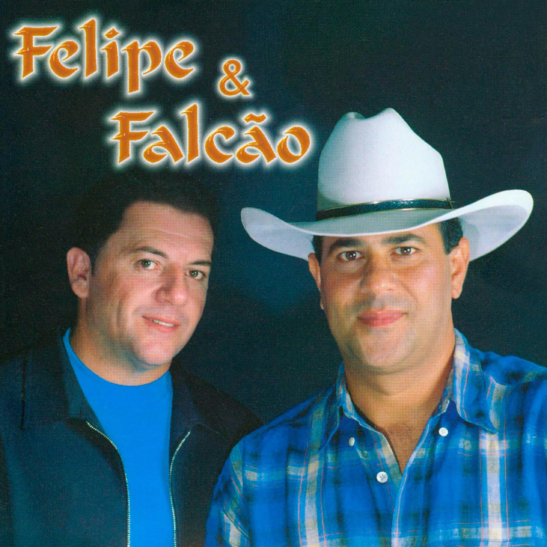 Постер альбома Felipe e Falcão, Vol. 8