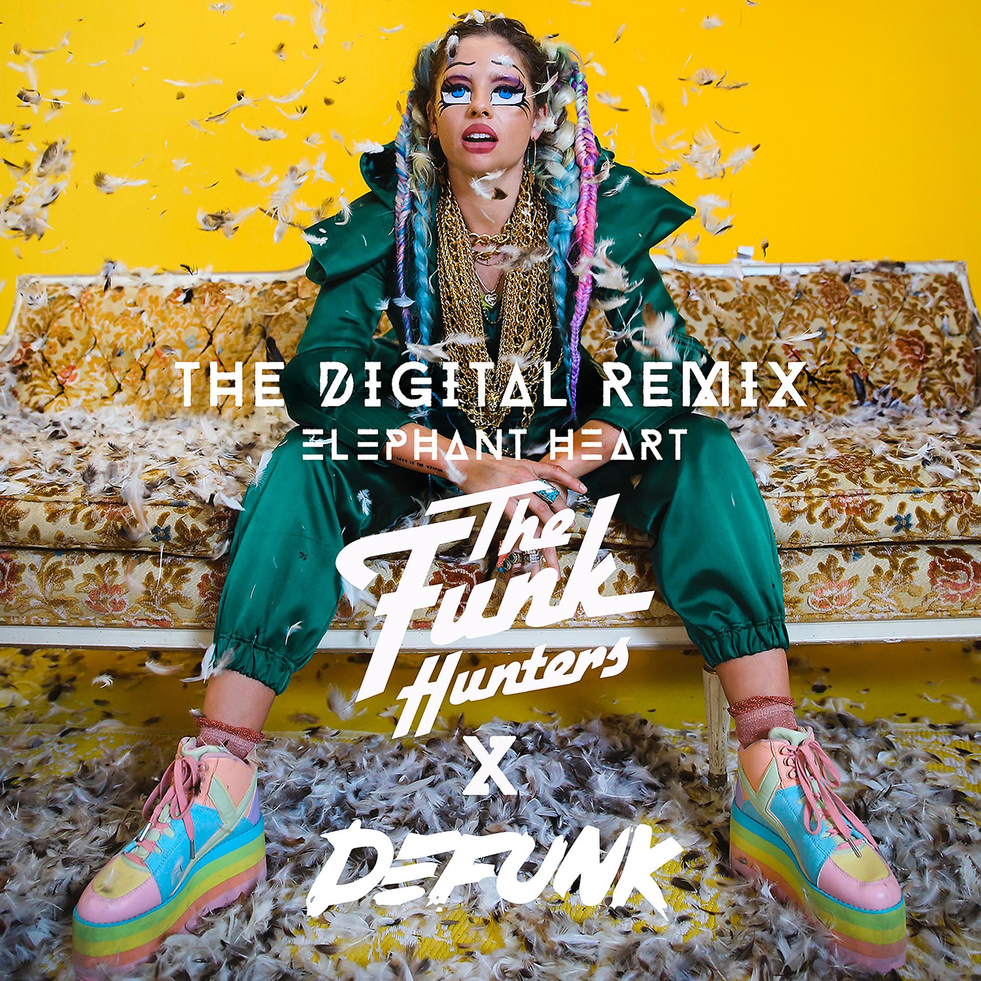 Постер альбома The Digital (The Funk Hunters & Defunk Remix)