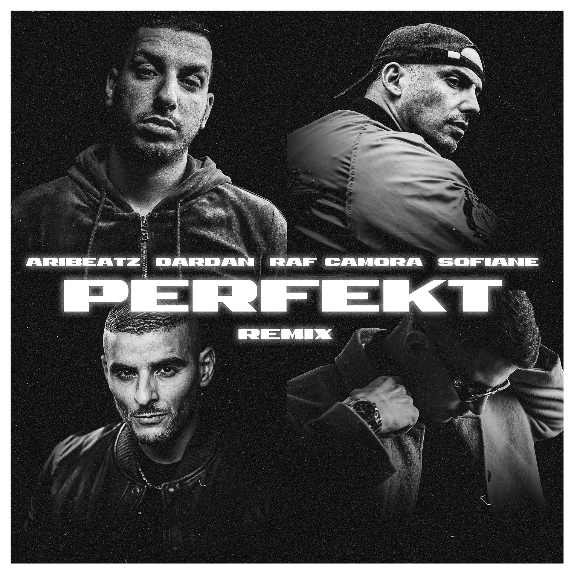 Постер альбома Perfekt (Remix)