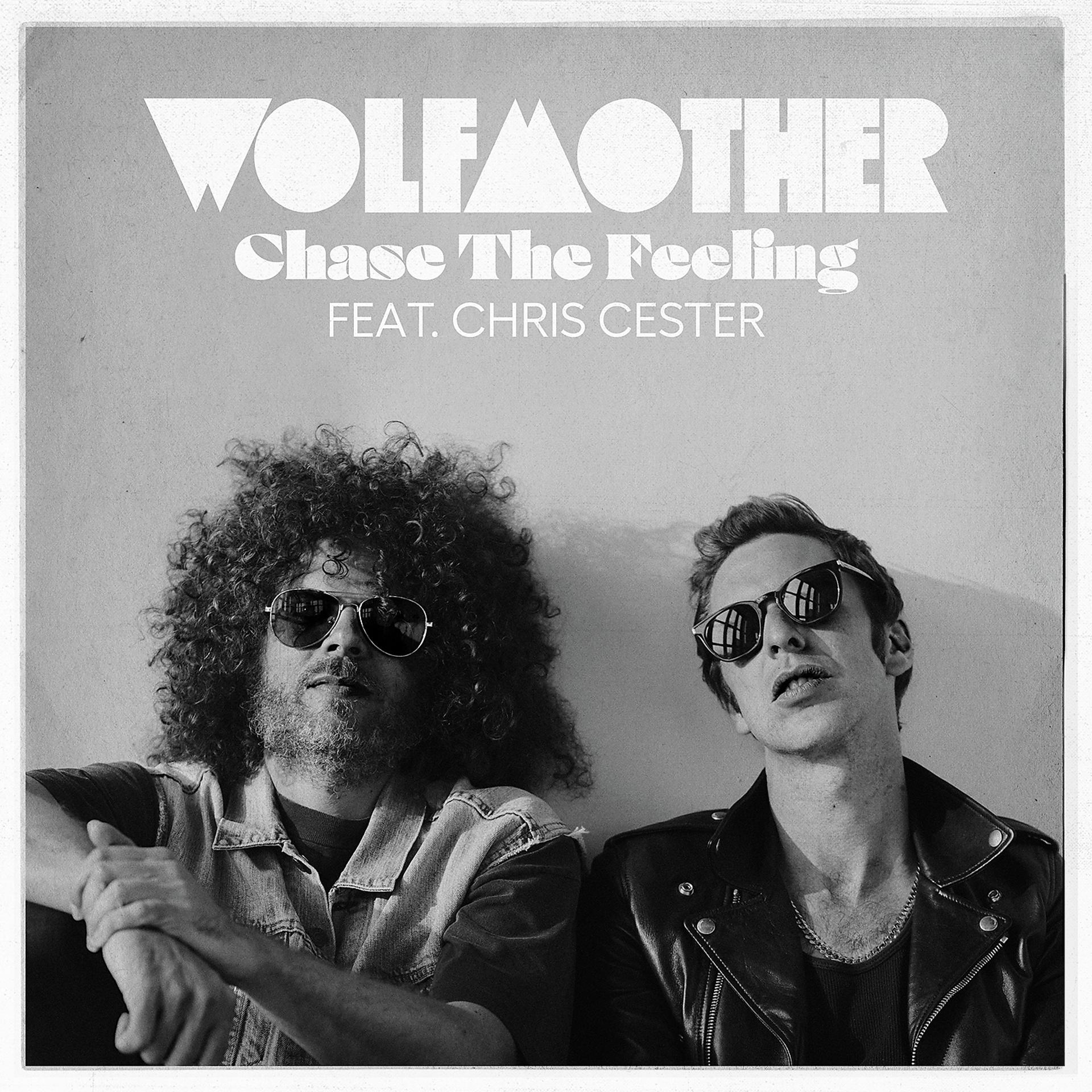 Постер альбома Chase The Feeling (feat. Chris Cester)