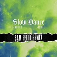 Постер альбома Slow Dance (Sam Feldt Remix)