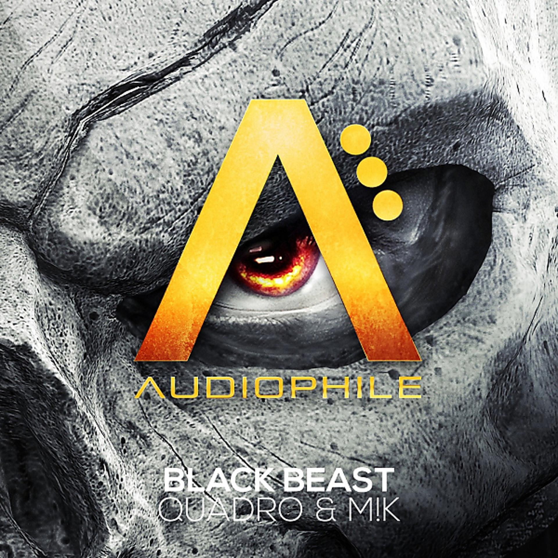 Постер альбома Black Beast