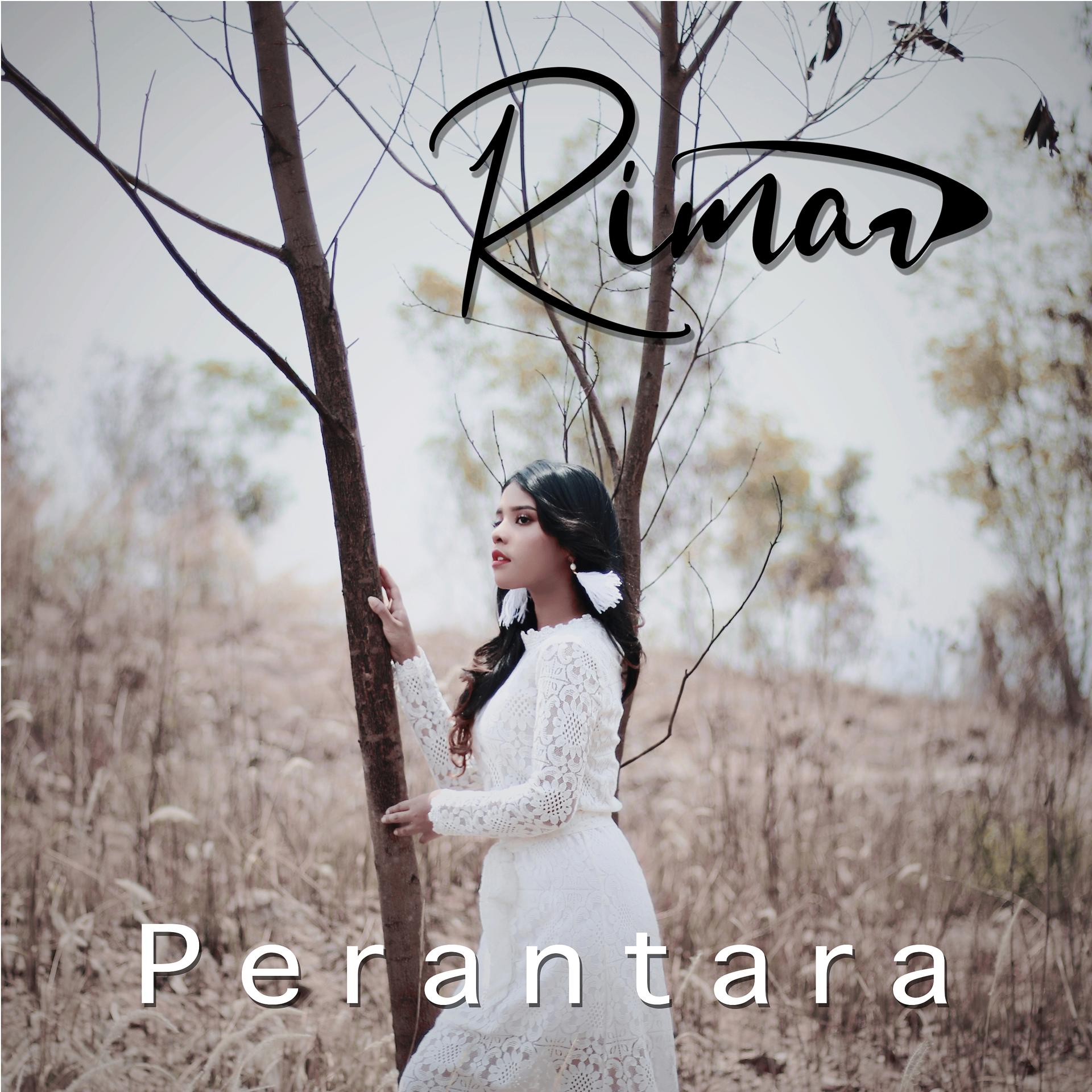 Постер альбома Perantara