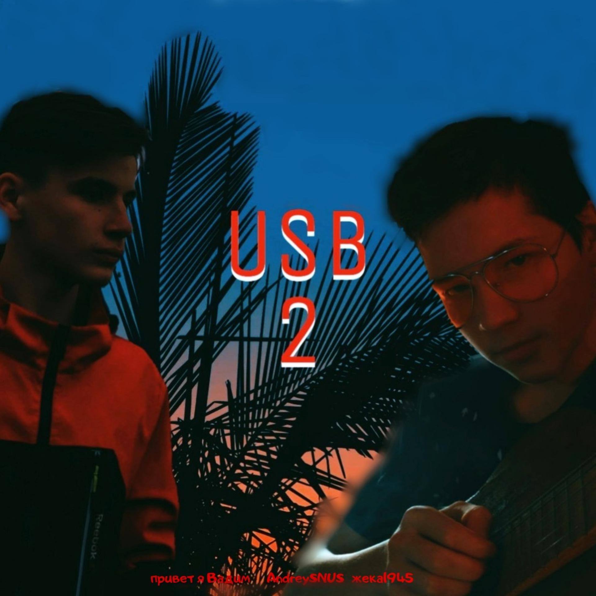 Постер альбома Usb 2 (feat. Andreysnus, жека1945)