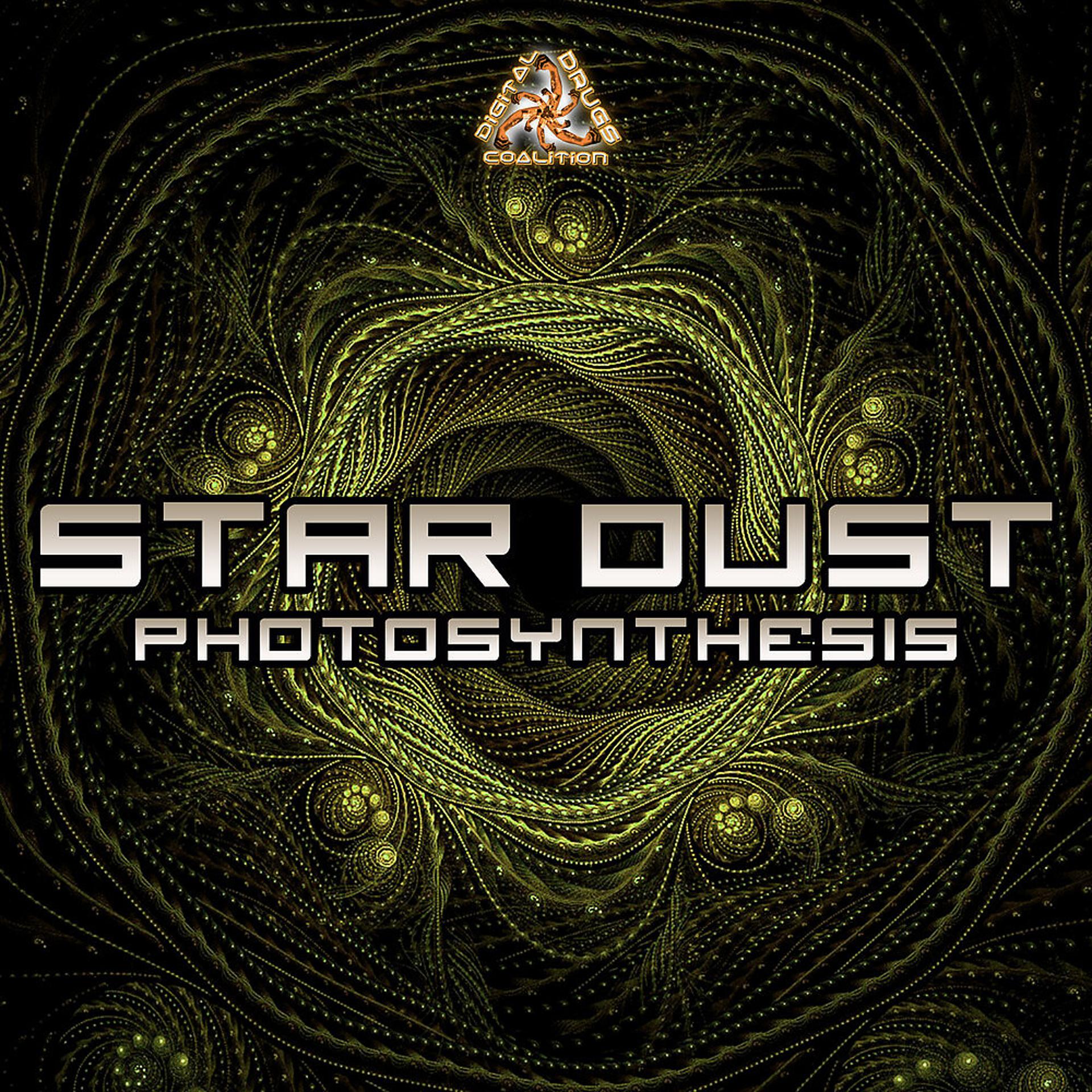 Постер альбома Photosynthesis