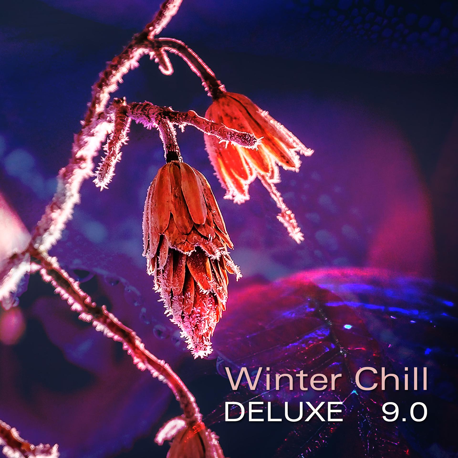 Постер альбома Winter Chill Deluxe 9.0