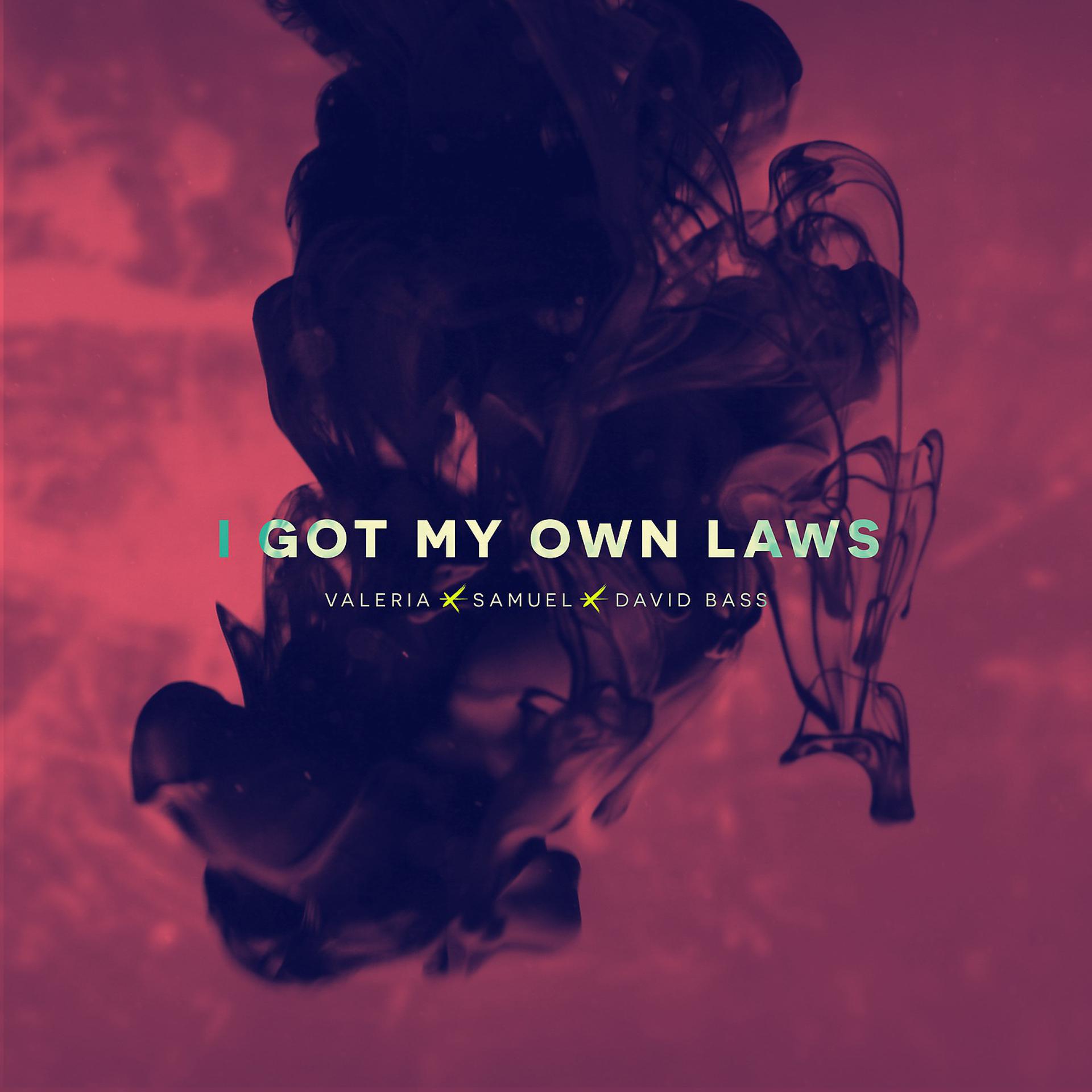 Постер альбома I Got My Own Laws