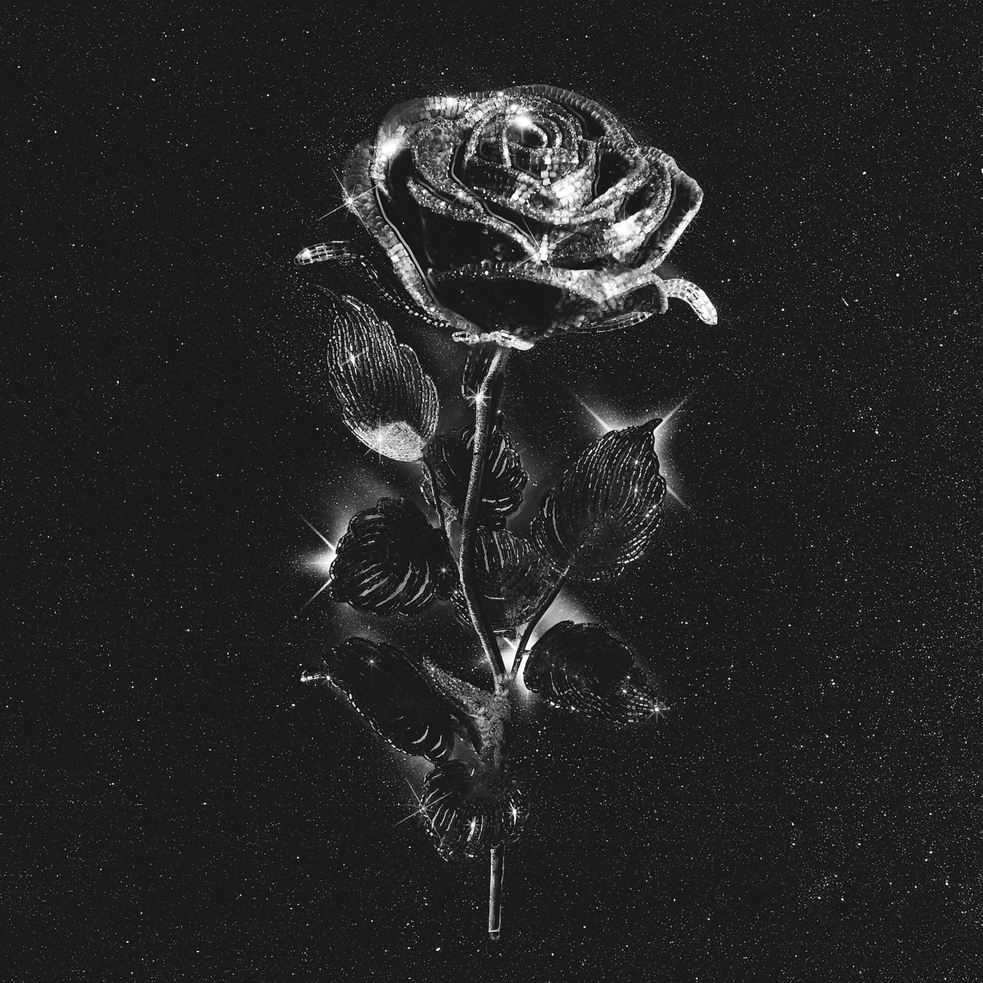 Постер альбома Чёрные розы