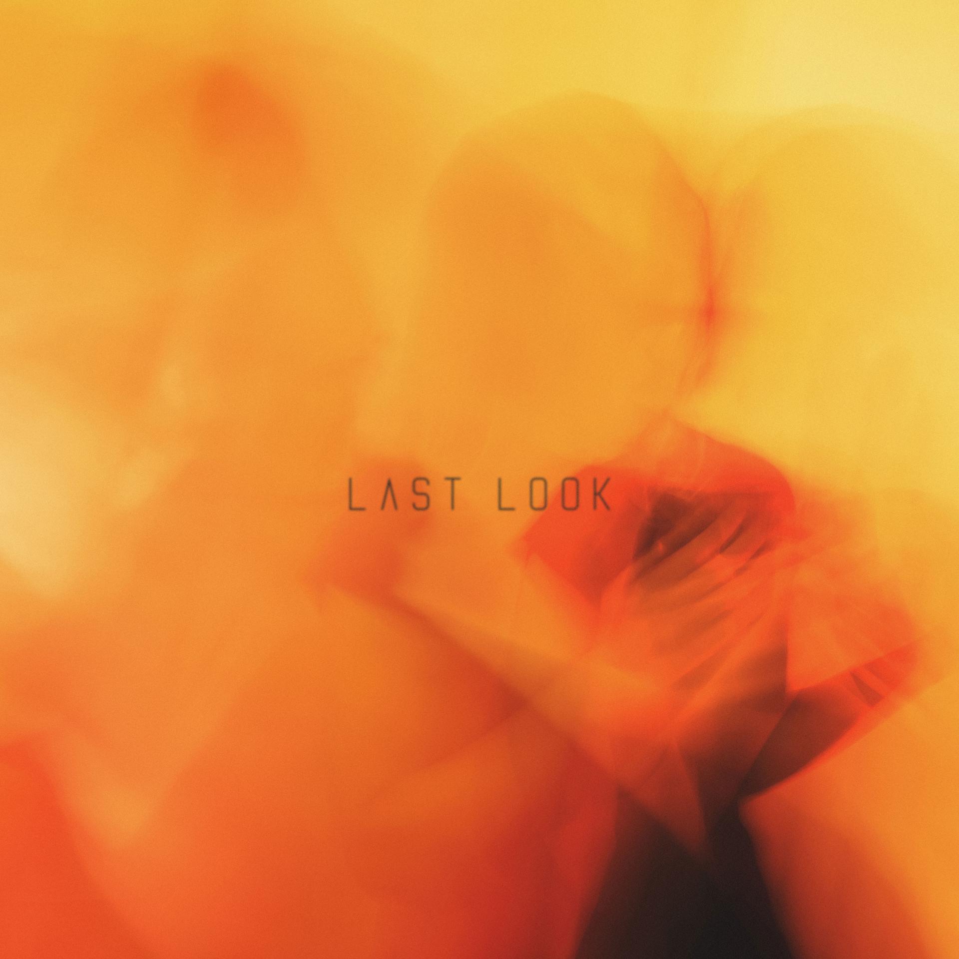 Постер альбома Last Look