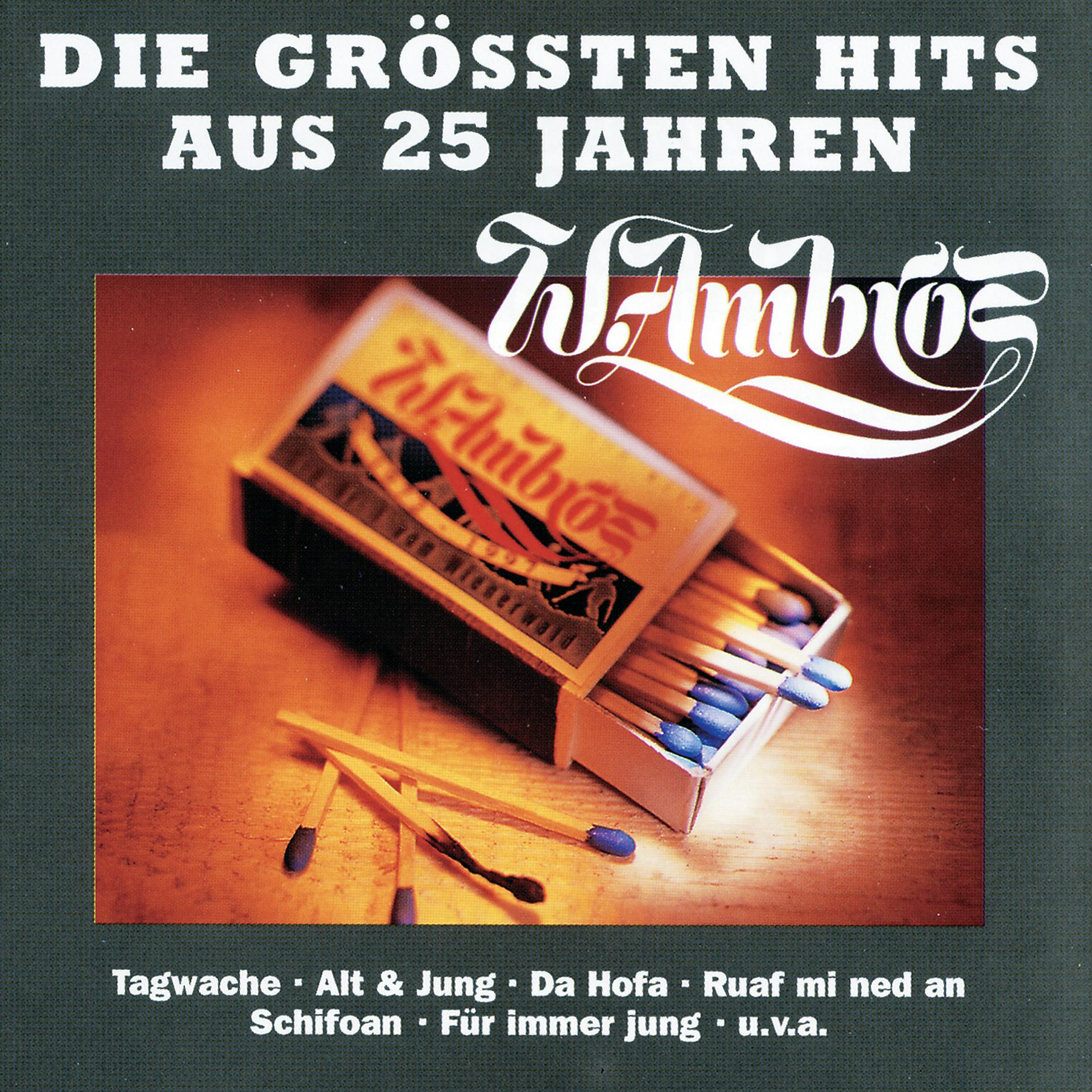 Постер альбома Die Grössten Hits Aus 25 Jahren