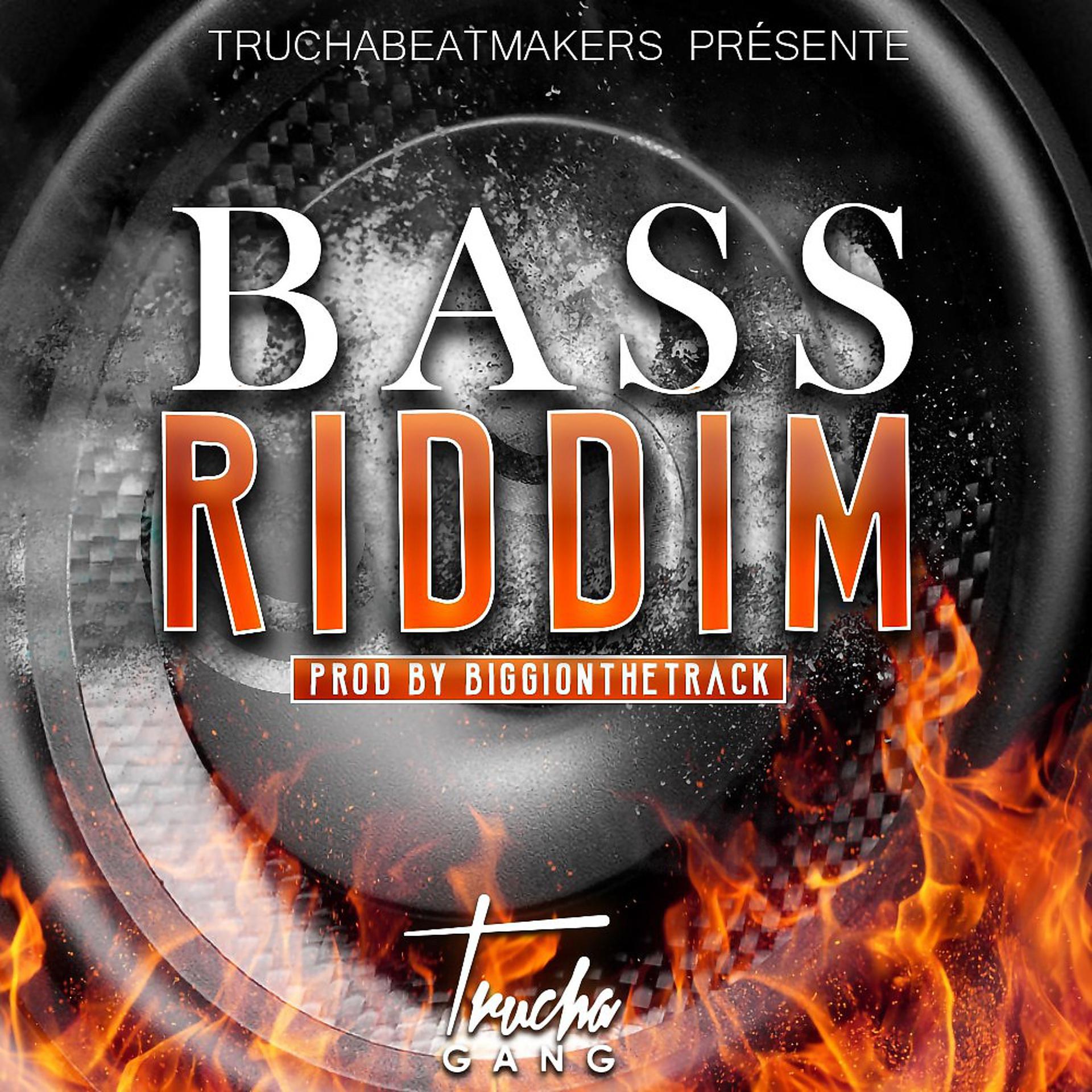 Постер альбома Bass Riddim