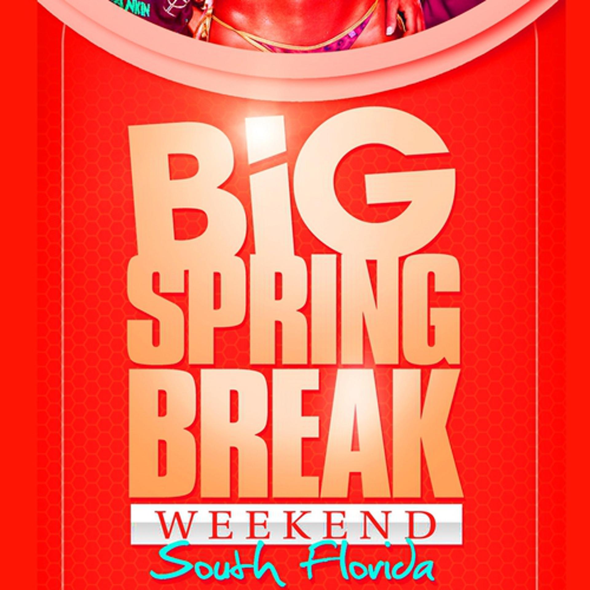 Постер альбома Big Springbreak Week End 2011