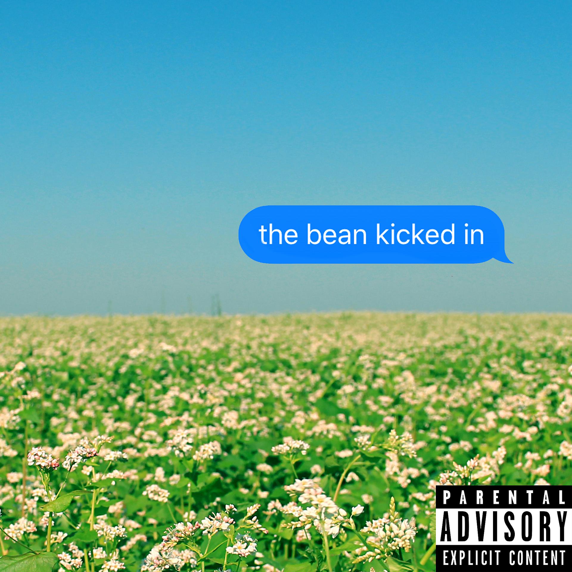 Постер альбома The Bean Kicked In