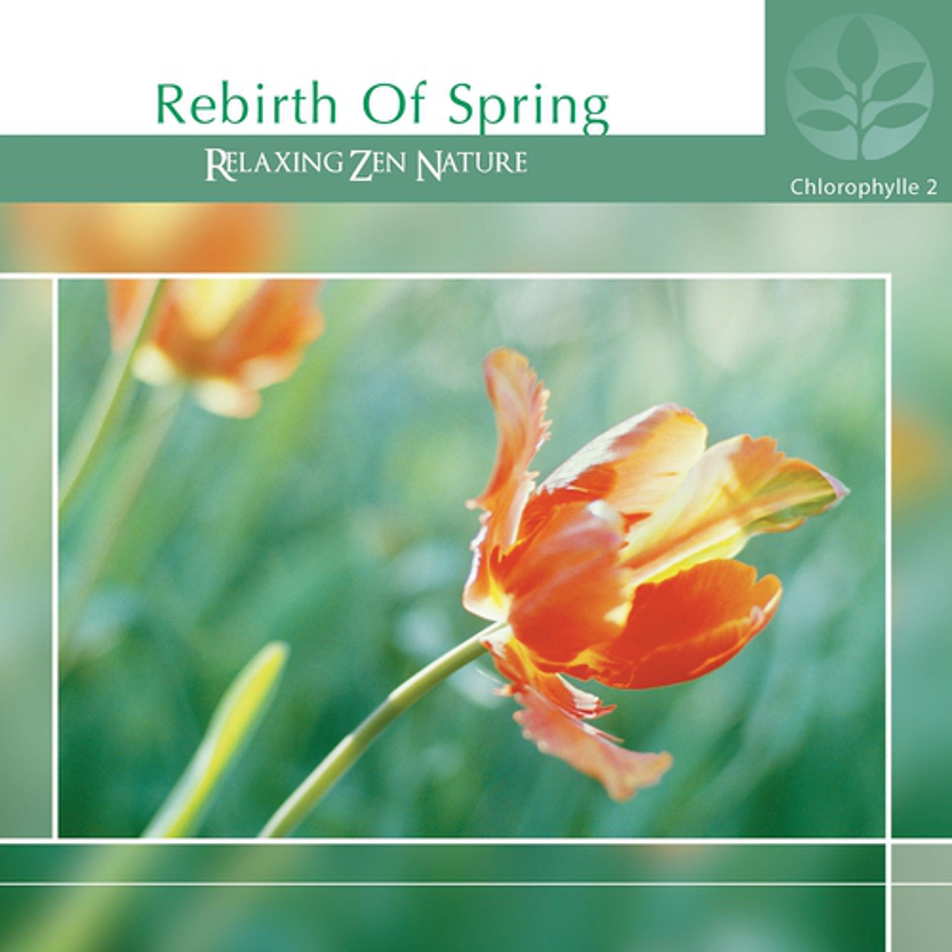Постер альбома Chlorophylle II Rebirth of Spring